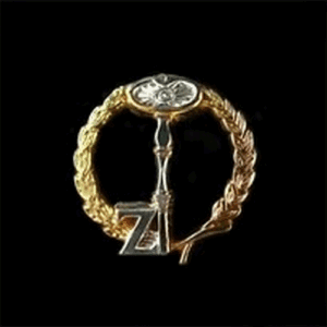 Pin Maestro Secreto grado 4, símbolo masónico con corona de laurel, llave y escuadra Z, en metal dorado de alta calidad